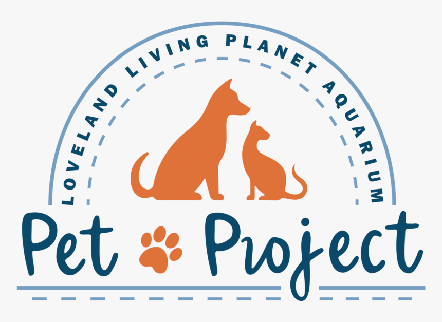 Pet Projects